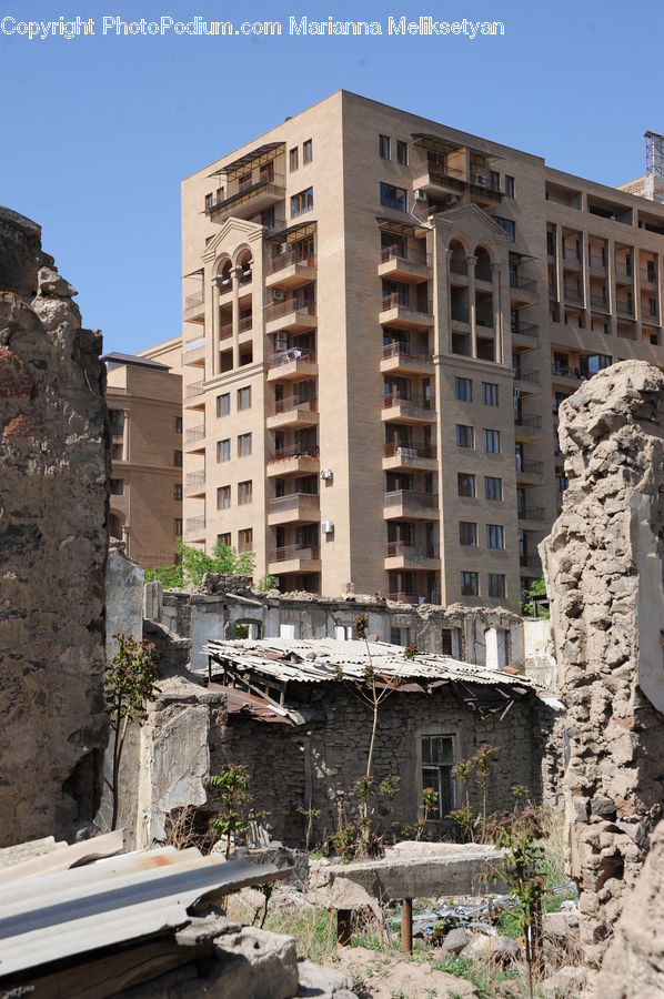 Rubble, Demolition, Apartment Building, Building, High Rise, Bonsai, Plant
