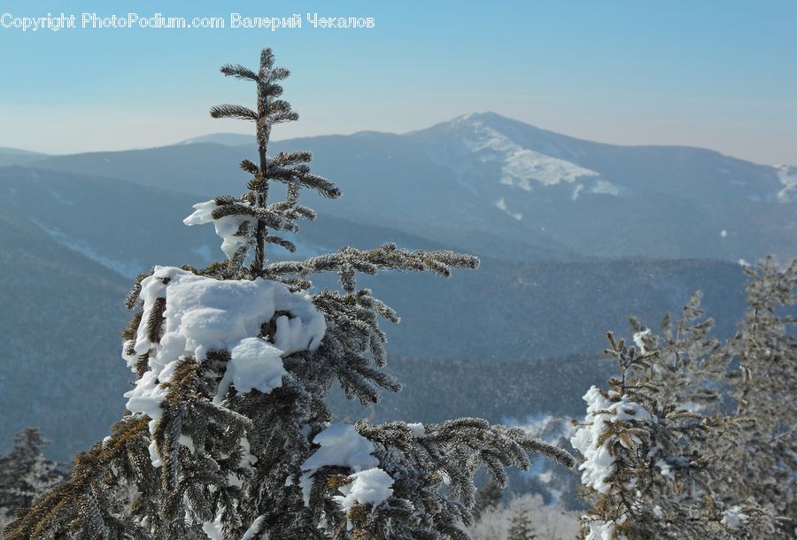 Ice, Outdoors, Snow, Crest, Mountain, Peak, Conifer