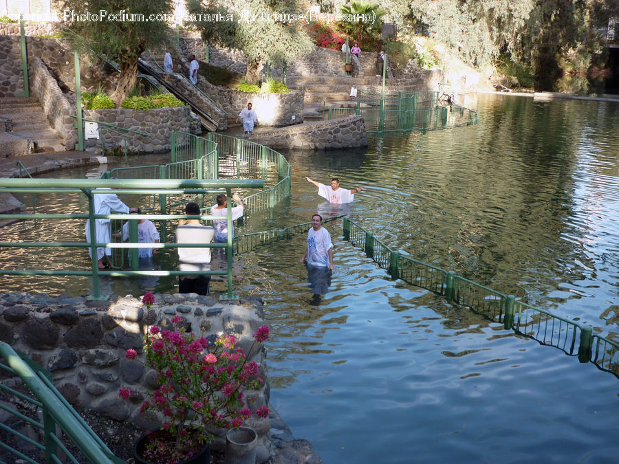 Plant, Potted Plant, Canal, Outdoors, River, Water, Pond