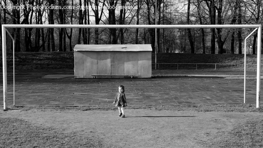 Playground, Swing, Forest, Vegetation, Bench, Outdoors, Plant
