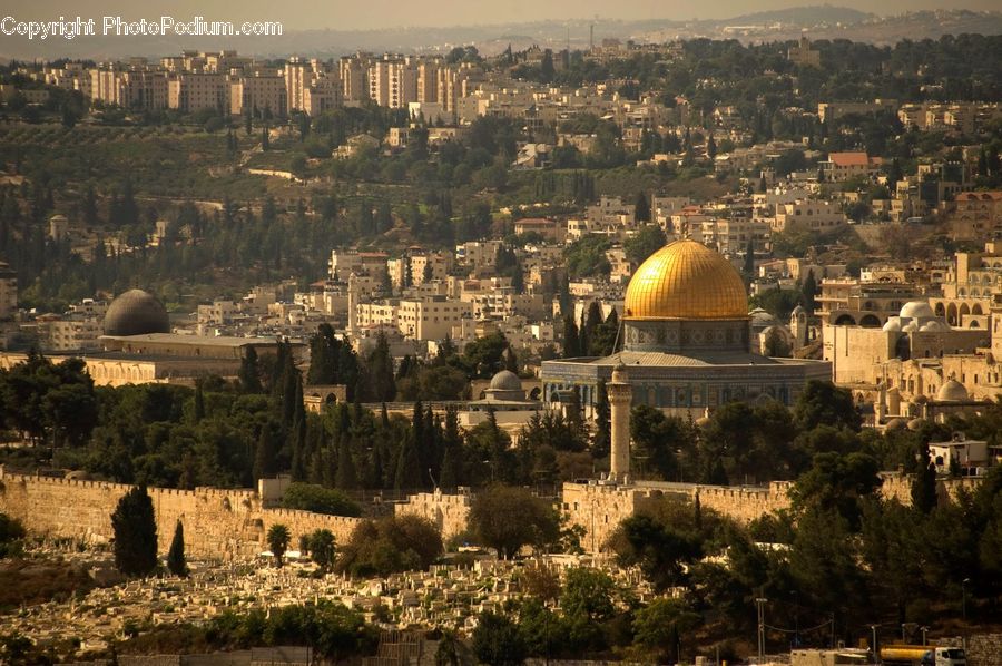 Architecture, Dome, Mosque, Worship, City, Downtown, Metropolis