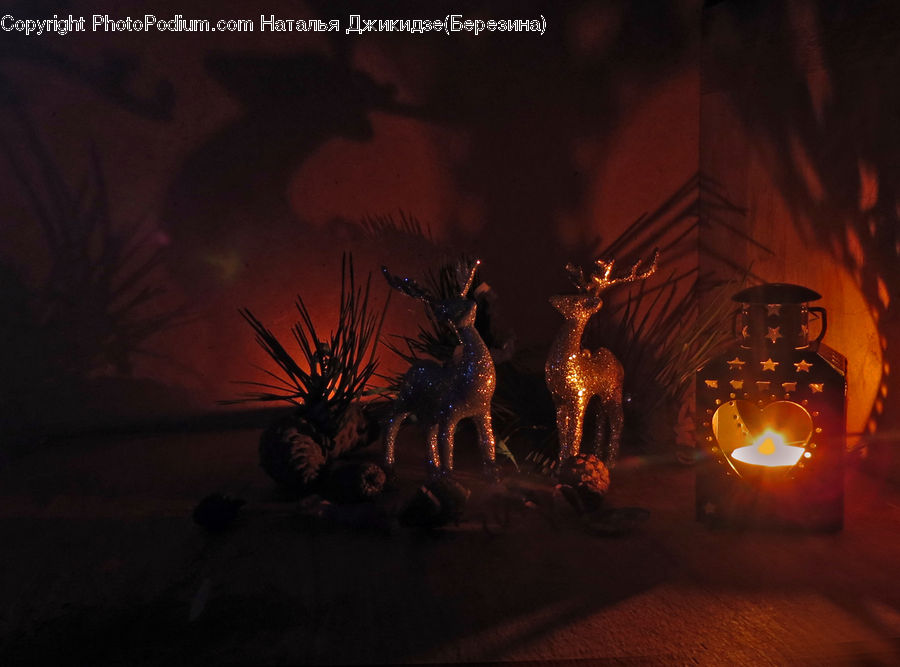 Plant, Potted Plant, Fire, Flame, Dragon, Bonfire, Campfire