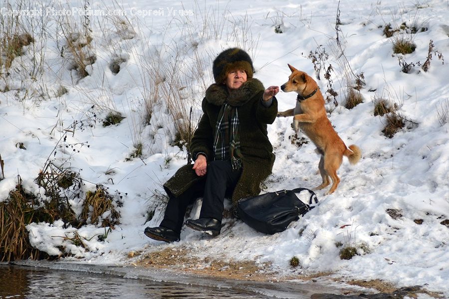 People, Person, Human, Ice, Outdoors, Snow, Animal