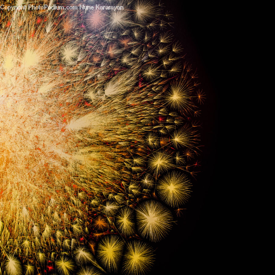 Fireworks, Night, Blossom, Flora, Flower, Plant