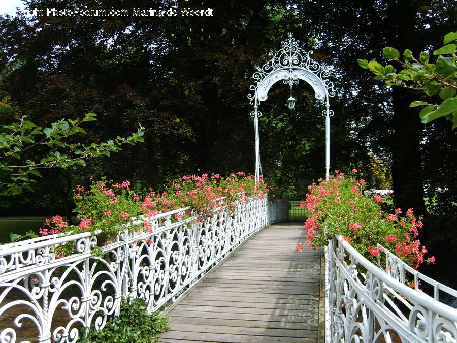 Gazebo, Deck, Housing, Porch, Boardwalk, Path, Pavement