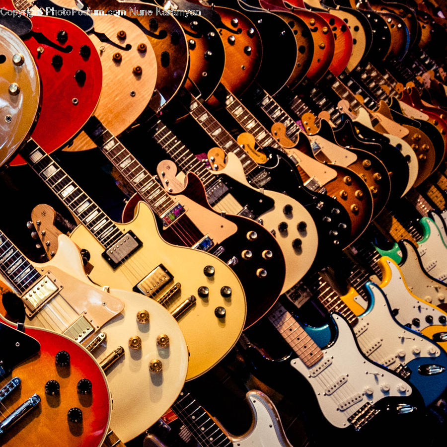 Electric Guitar, Guitar, Musical Instrument, Guitarist, Musician, Performer, Person