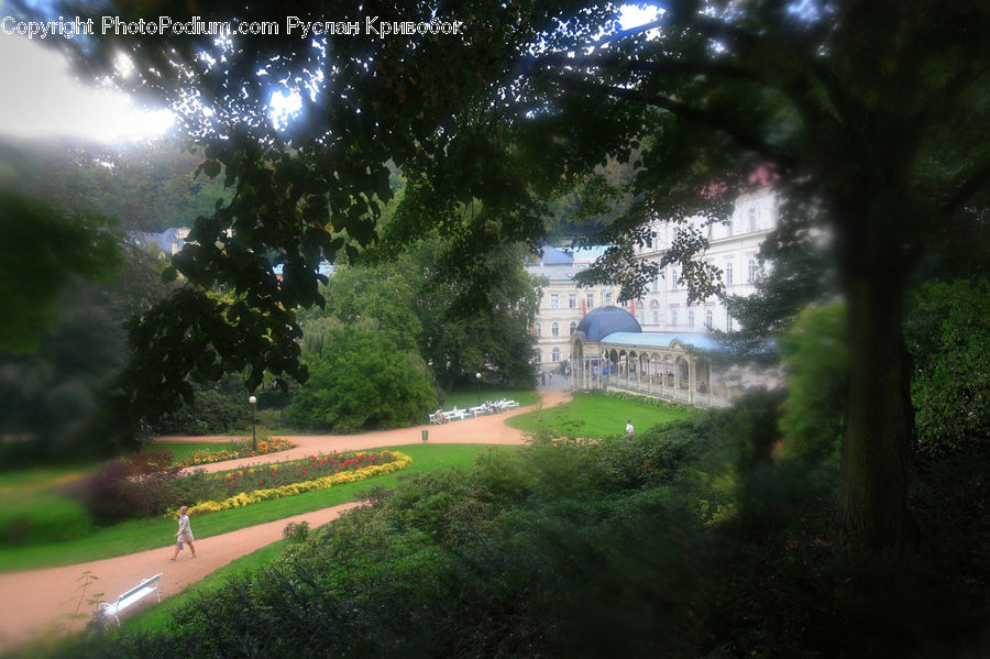Building, Housing, Villa, Architecture, Observatory, Planetarium, Conifer