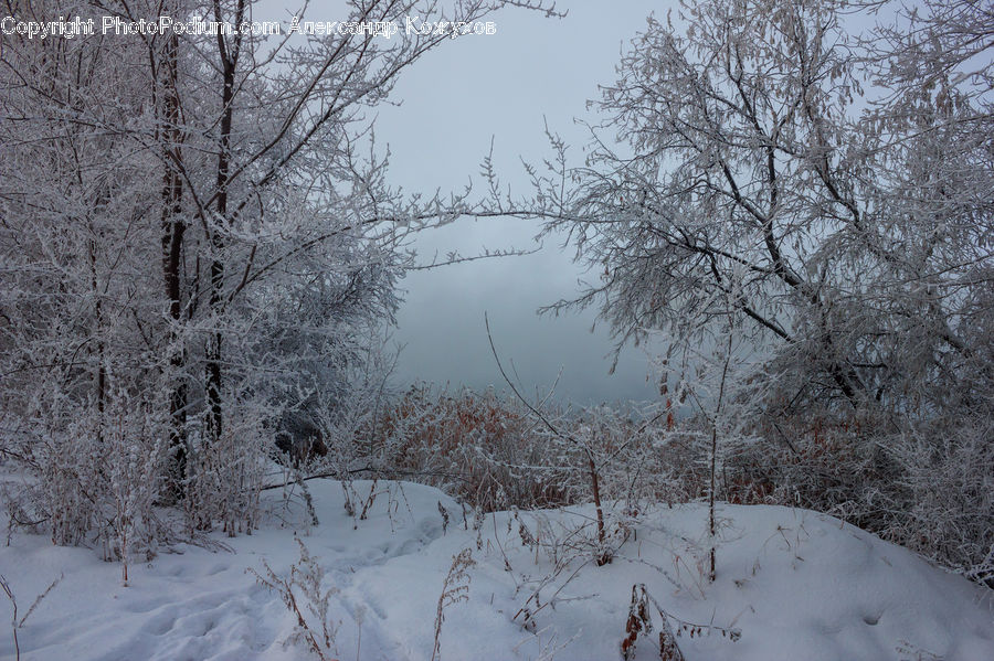 Blizzard, Outdoors, Snow, Weather, Winter, Landscape, Nature