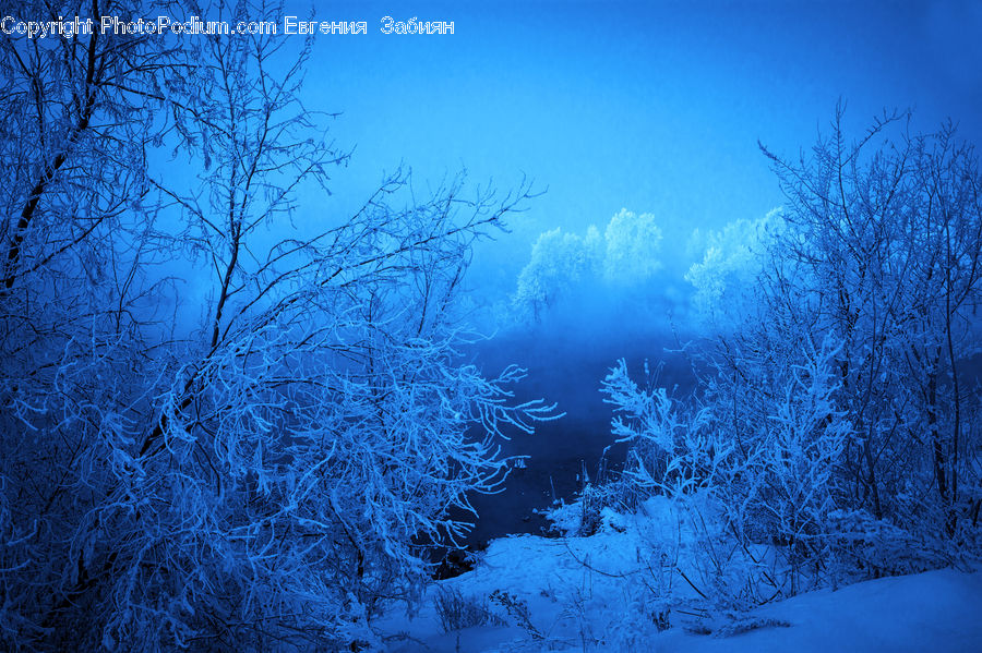 Frost, Ice, Outdoors, Snow, Landscape, Nature, Scenery
