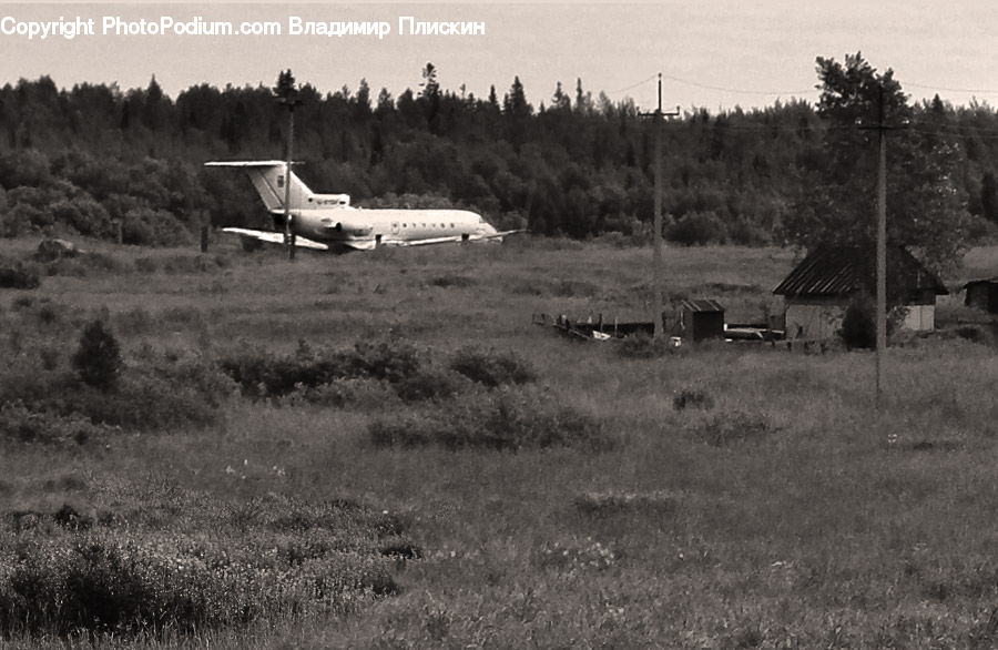 Aircraft, Airplane, Airfield, Airport, Countryside, Outdoors, Jet