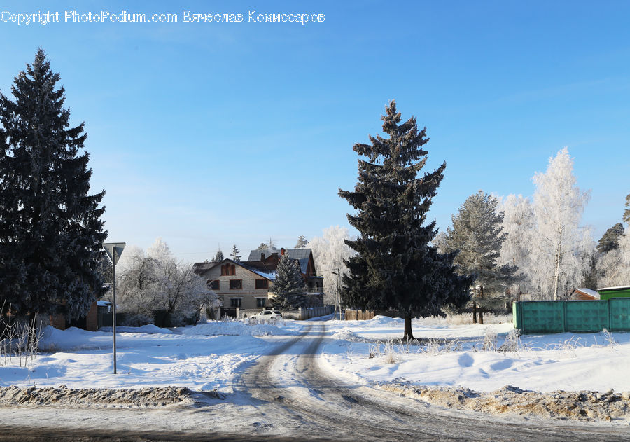 Ice, Outdoors, Snow, Building, Cottage, Housing, Conifer