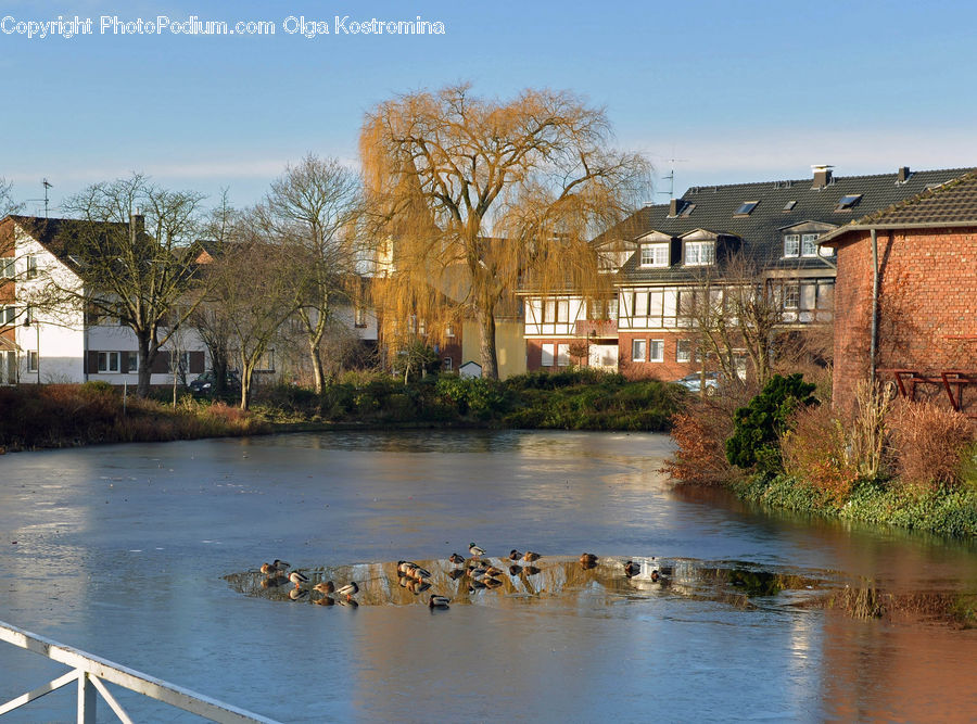 Canal, Outdoors, River, Water, Building, Housing, Plant