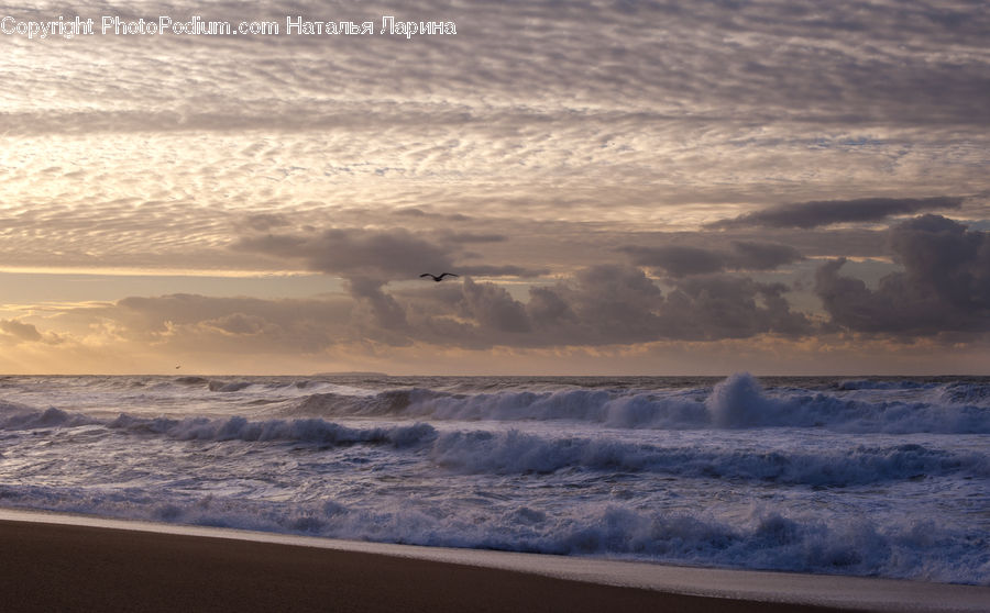 Beach, Coast, Outdoors, Sea, Water, Ocean, Sea Waves