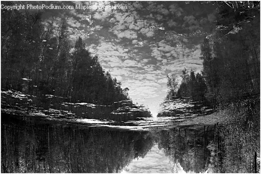 Canal, Outdoors, River, Water, Land, Marsh, Swamp