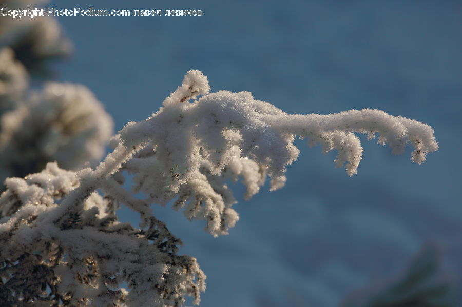Frost, Ice, Outdoors, Snow, Cloud, Cumulus, Sky