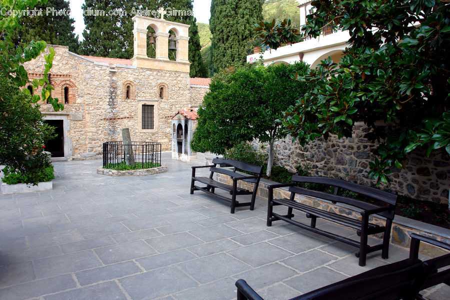 Bench, Bonsai, Plant, Potted Plant, Tree, Park Bench, Building