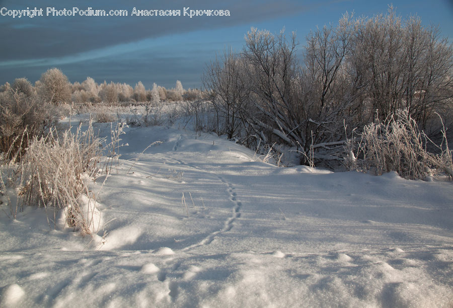 Frost, Ice, Outdoors, Snow, Landscape, Nature, Scenery