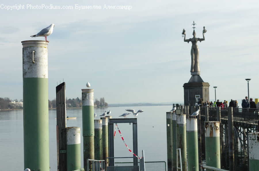 Bird, Seagull, Art, Sculpture, Statue, Beacon, Building