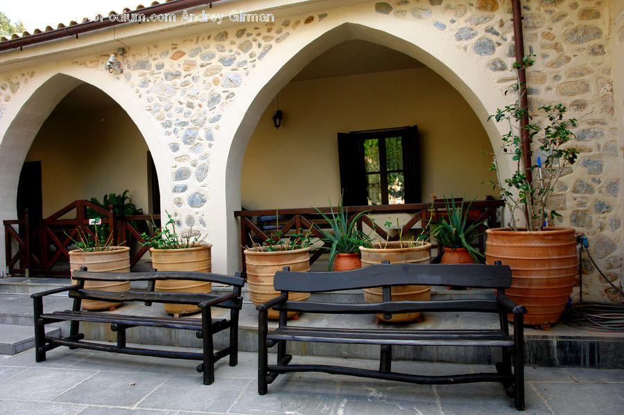 Plant, Potted Plant, Furniture, Patio, Bench, Chair, Plywood