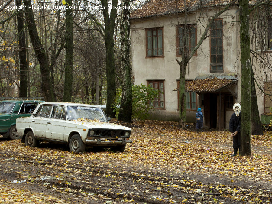 Ivy, Plant, Vine, Automobile, Car, Vehicle, Dirt Road