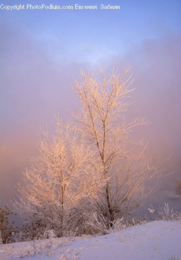 Blizzard, Outdoors, Snow, Weather, Winter, Landscape, Nature