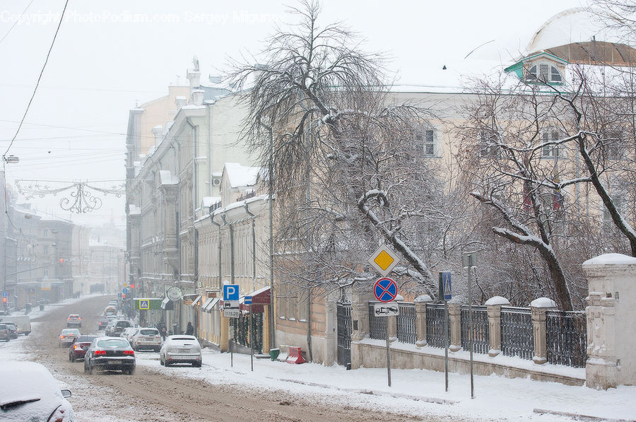 Blizzard, Outdoors, Snow, Weather, Winter