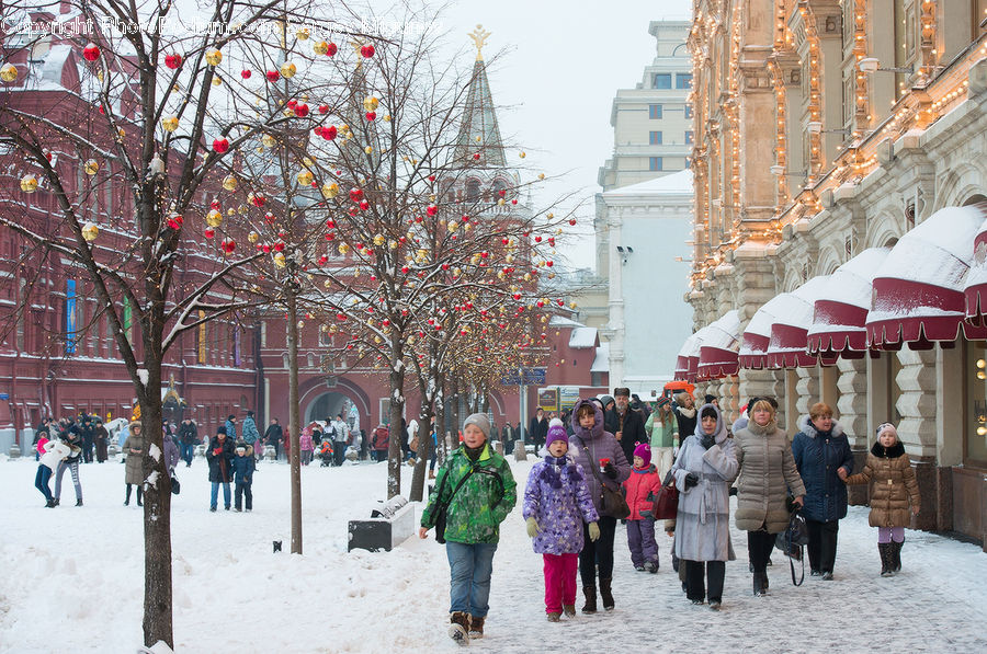 People, Person, Human, Bazaar, Market, Plant, Tree