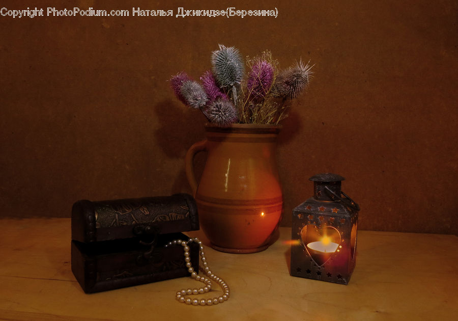 Flora, Flower, Plant, Thistle, Weed, Jar, Pot