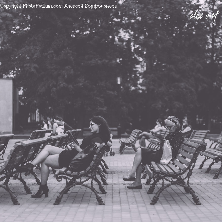 Bench, Bicycle, Bike, Vehicle