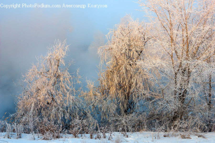 Frost, Ice, Outdoors, Snow, Landscape, Nature, Scenery