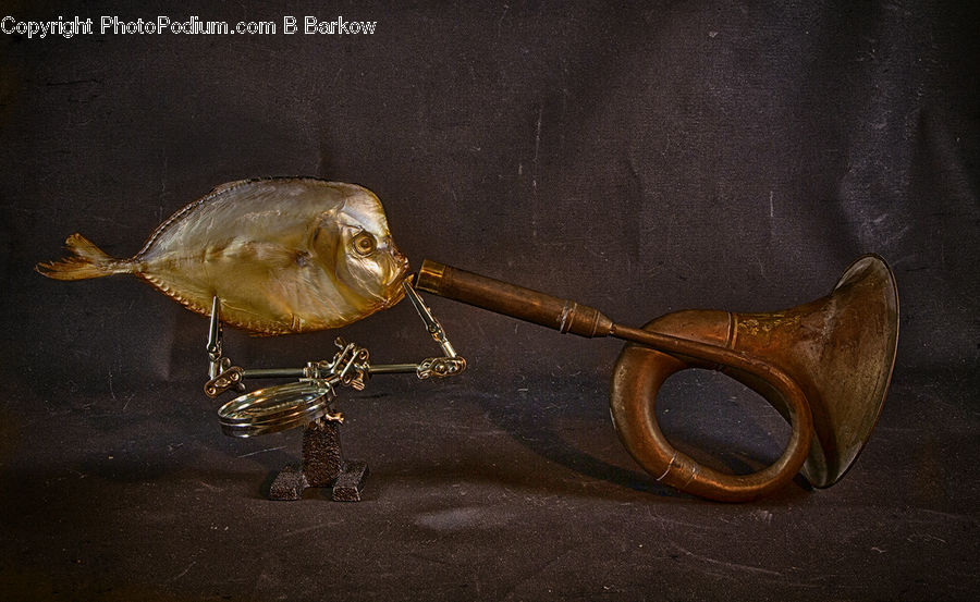 Bait, Fishing Lure