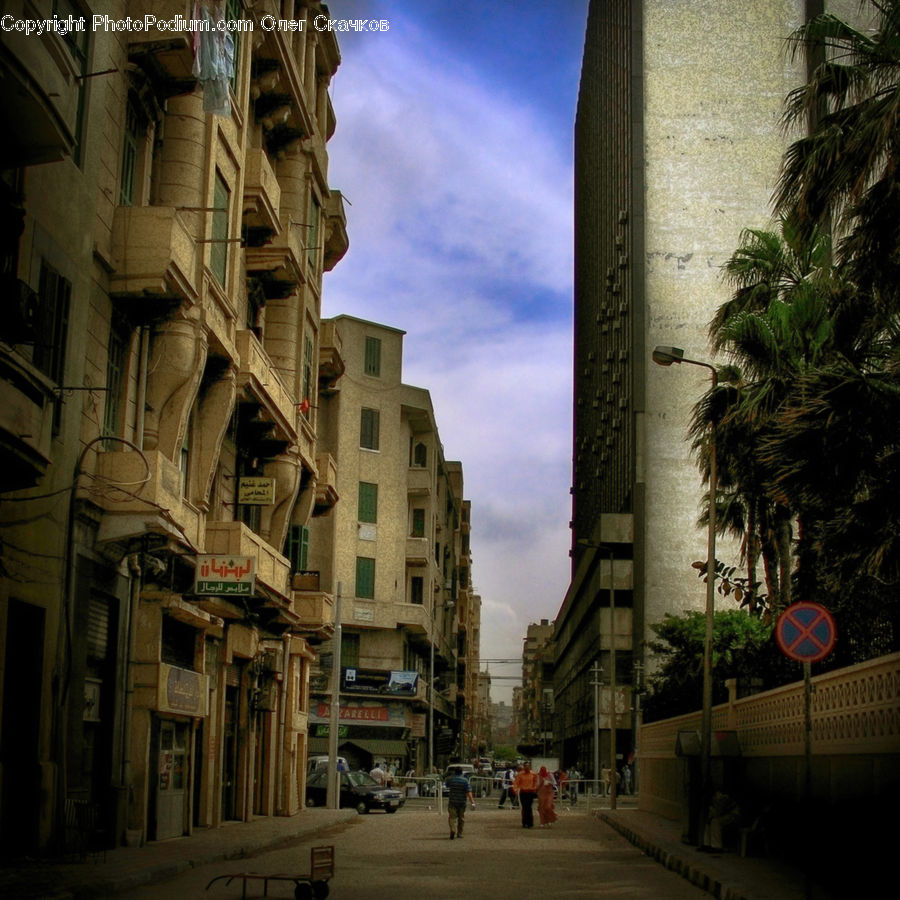 Plant, Potted Plant, Alley, Alleyway, Road, Street, Town