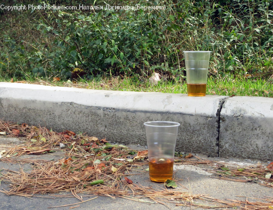 Cup, Alcohol, Beer, Beer Glass, Beverage, Glass, Hydrant