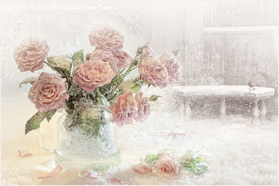 Lace, Flower, Flower Arrangement, Flower Bouquet, Blossom, Lilac, Plant