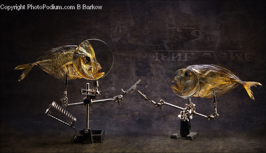 Bait, Fishing Lure, Light, Asilidae, Insect