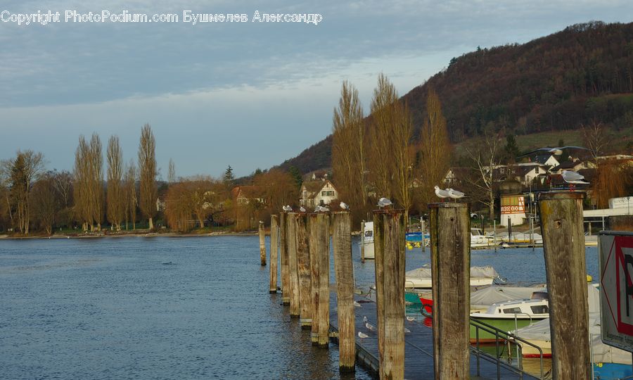 Boat, Watercraft, Dock, Landing, Pier, Dinghy, Lumber
