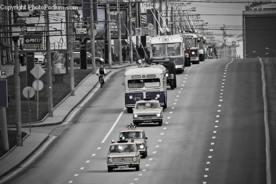 Automobile, Car, Vehicle, Transportation, Freeway, Highway, Road