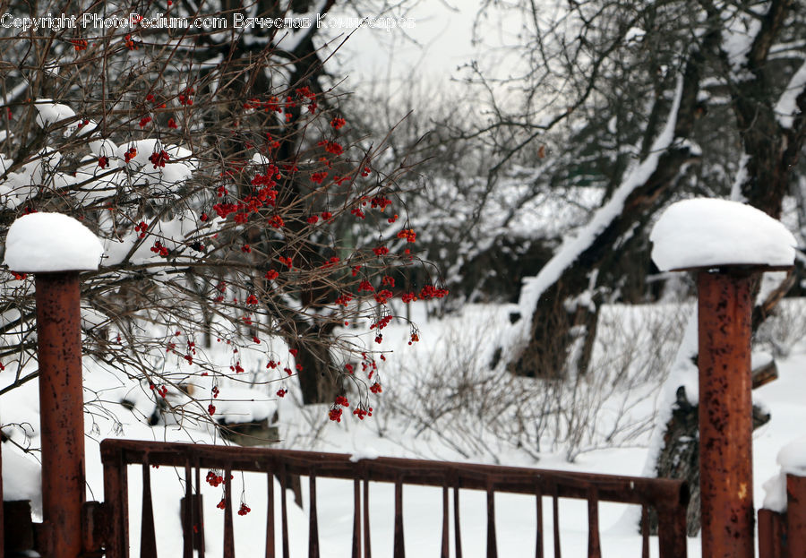 Ice, Outdoors, Snow, Blizzard, Weather, Winter, Fence