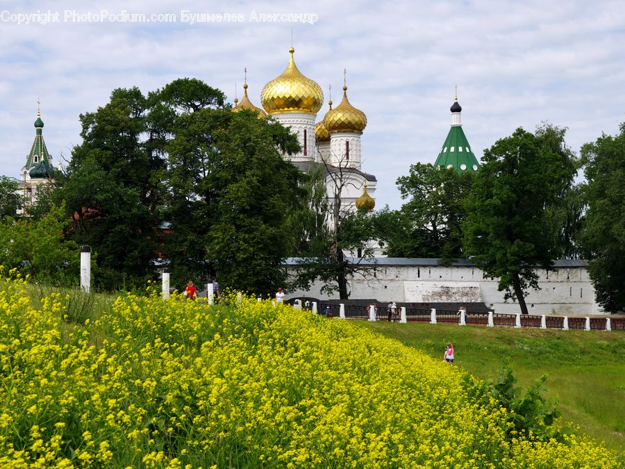 Architecture, Bell Tower, Clock Tower, Tower, Countryside, Outdoors, Blossom