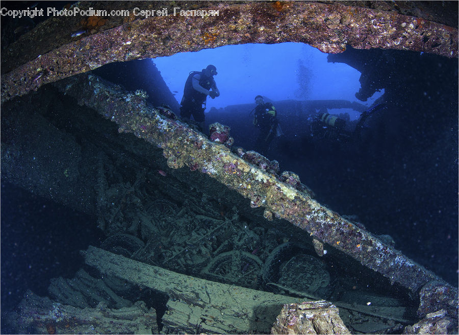 Coral Reef, Outdoors, Reef, Sea, Sea Life, Water, Diver