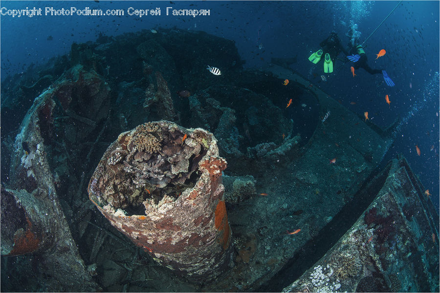 Diver, Diving, Person, Water, Coral Reef, Outdoors, Reef