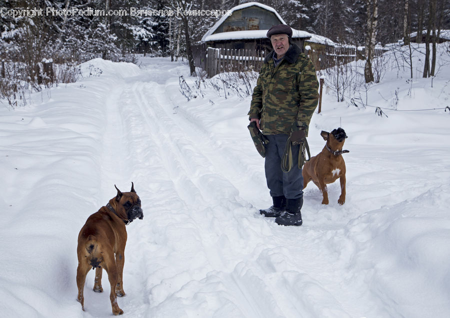Human, People, Person, Ice, Outdoors, Snow, Animal