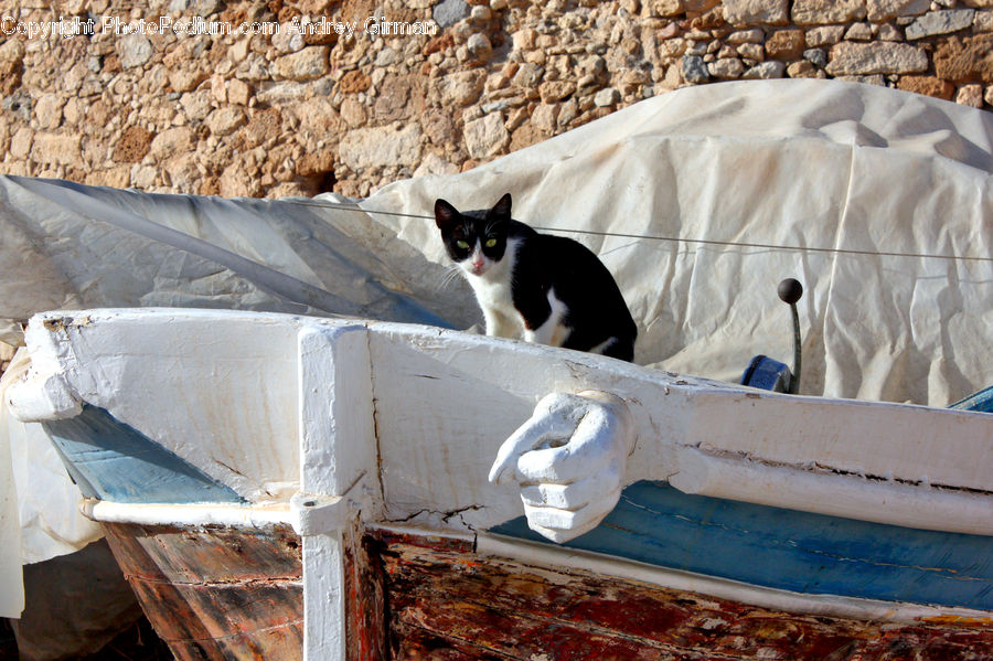 Animal, Boat, Dinghy, Box, Crate, Dog House, Kennel