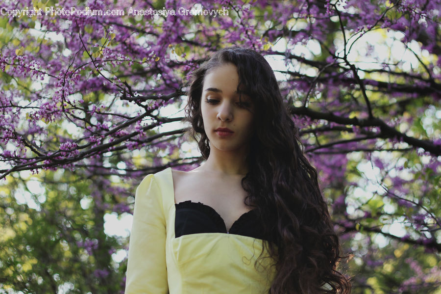Human, People, Person, Blossom, Flora, Flower, Plant