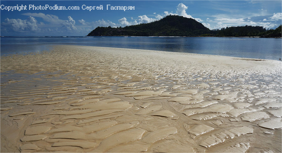 Coast, Outdoors, Sea, Water, Forest, Jungle, Rainforest