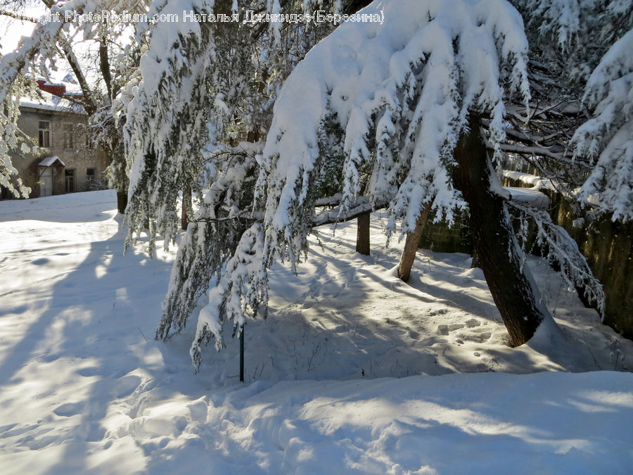 Ice, Outdoors, Snow, Alps, Crest, Mountain, Peak