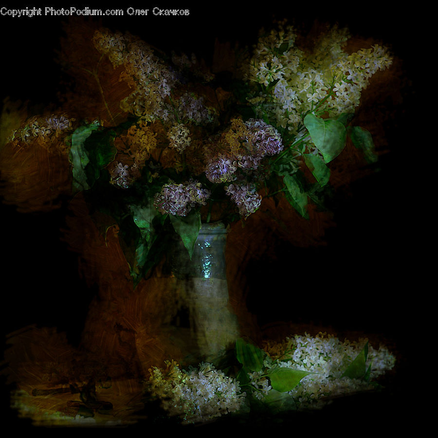 Cave, Hole, Water, Rock, Fractal, Blossom, Flora