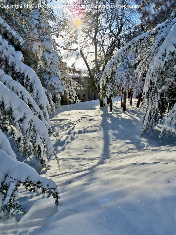 People, Person, Human, Ice, Outdoors, Snow, Landscape