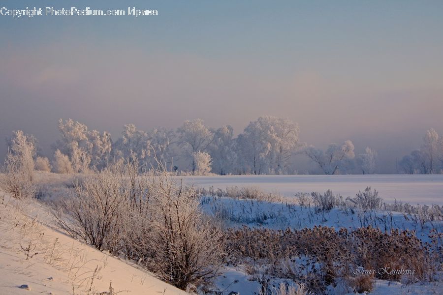 Frost, Ice, Outdoors, Snow, Landscape, Nature, Scenery