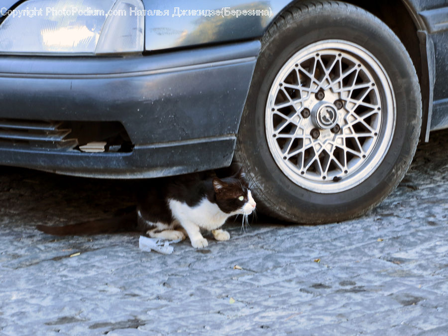 Cap, Car Wheel, Hubcap, Alloy Wheel, Machine, Spoke, Tire